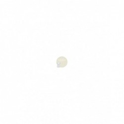 Pintura Beige Nevada AC 074...