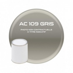 PINTURA AC 109 GRIS AÑO...