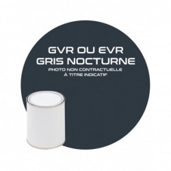 PINTURA GVR O EVR GRIS...