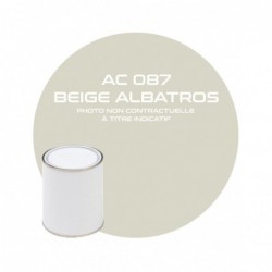 AC 087 PINTURA BEIGE...