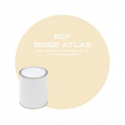 PINTURA ECF ATLAS BEIGE....