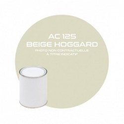 PINTURA BEIGE HOGGARD AC...
