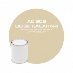 PINTURA BEIGE KALAHARI AC 808