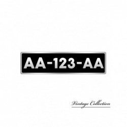 MATRÍCULA RECTANGULAR,...