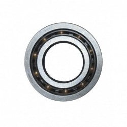 Rodamiento trasero del...