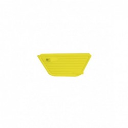 Puerta derecha Amarilla