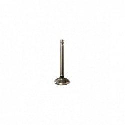 Válvula de admisión 435cm3