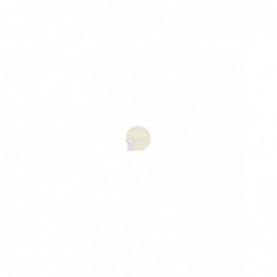 Pintura Beige Nevada AC 074...