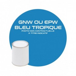 Pintura azul tropical GNW o...