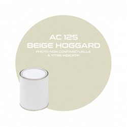 PINTURA BEIGE HOGGARD AC...
