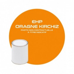 PINTURA NARANJA KIRCHIZ EHP...