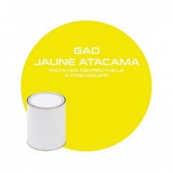 PINTURA AMARILLA ATACAMA...