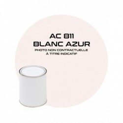 PINTURA BLANCA MEHARI AZUR...