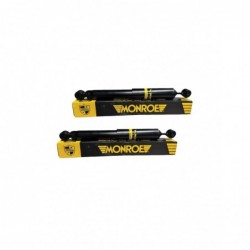 PAR DE AMORTIGUADORES...