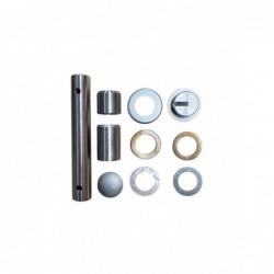 Eje del pivote (kit...