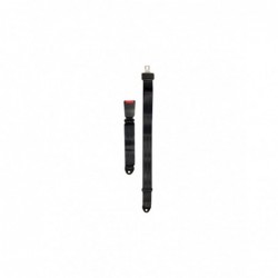 Cinturón delantero/trasero x1