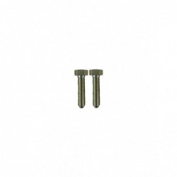 Tornillo TH 9x40 (x4)