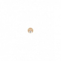 AEROSOL BEIGE COLORADO AC...