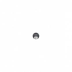 AEROSOL GRIS TIFÓN AC 147...