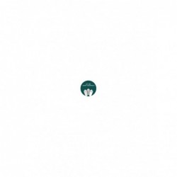 SPRAY VERDE CHARMILLE AC522...