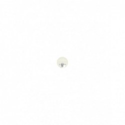 SPRAY BLANCO EVEREST AC098...