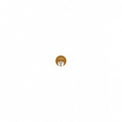 AEROSOL ORO OSCURO AC302...