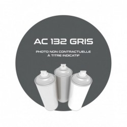 AEROSOL GRIS.16866.AC 132...
