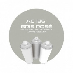 PINTURA AEROSOL GRIS ROSÉ