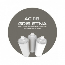 AEROSOL GRIS ETNA AC 118...