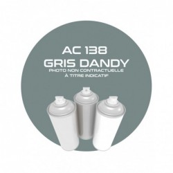 SPRAY GRIS DANDY.16741. AC...