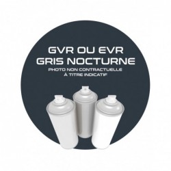 AEROSOL GRIS NOCHE GVR O...