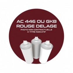 DELAGE AEROSOL. AC 446 /...