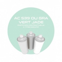 Aerosol Verde Jade AC 539 o...