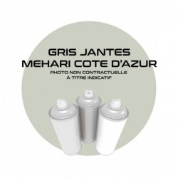 AEROSOL PARA PARACHOQUES...