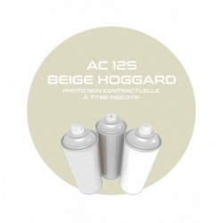 PINTURA AEROSOL BEIGE HOGGARD