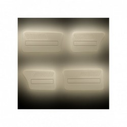 Kit paneles de pta. Ami6 Gris