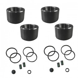Kit reparación pinzas de...