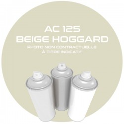 PINTURA AEROSOL BEIGE HOGGARD