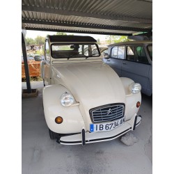 2cv nuevo