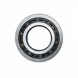 Rodamiento trasero del...